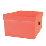 Κουτί Αποθήκευσης The littlies Χαρτόνι σε 6 Χρώματα, 33x24x18 εκ.